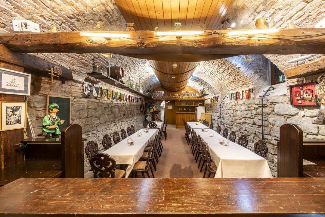 PLAZA Hotel Buchhorner Hof