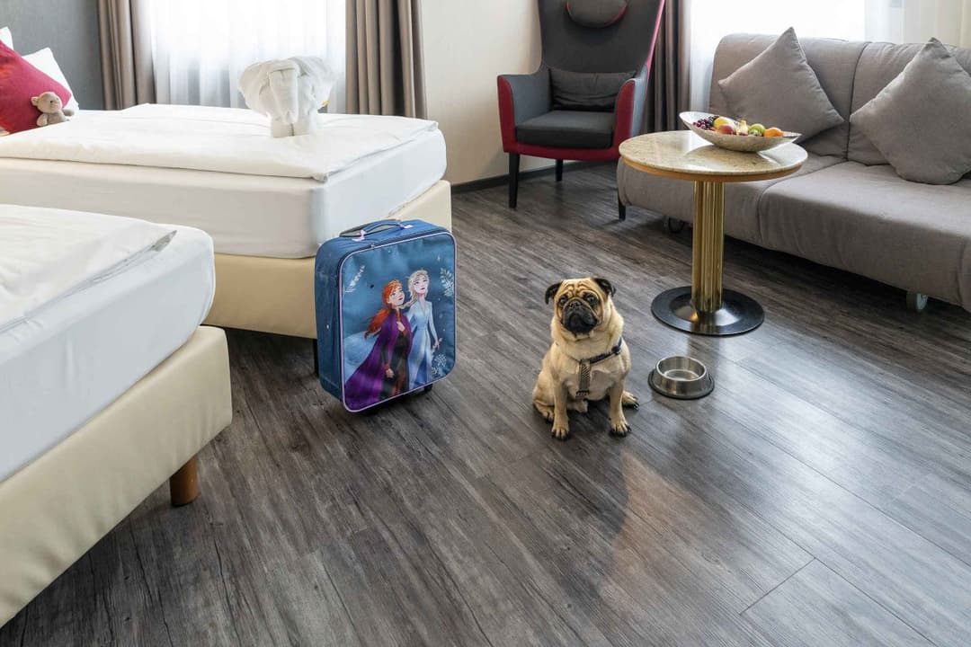 PLAZA INN Blankenburg Ditzingen