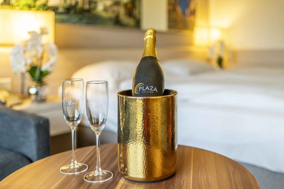 PLAZA INN Goslar
