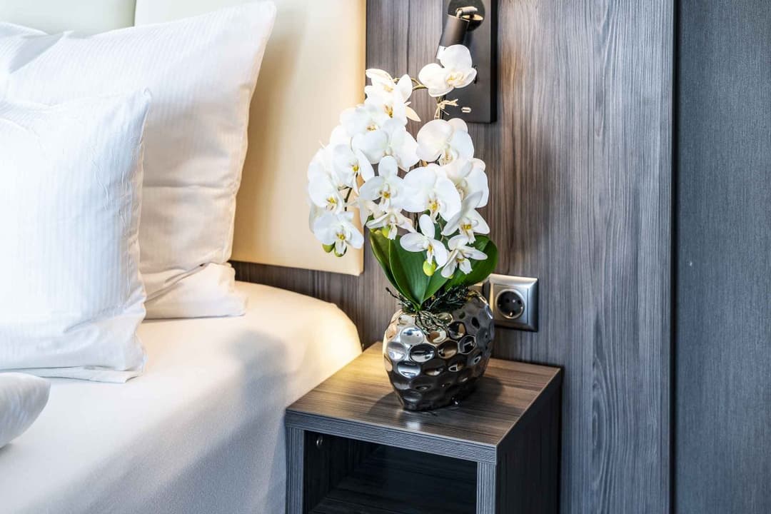 PLAZA Hotel Buchhorner Hof