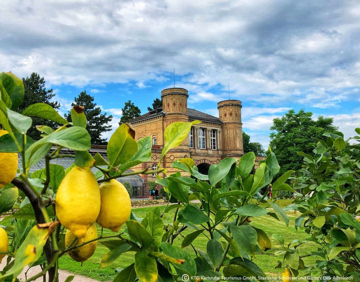 Botanischer Garten Karlsruhe