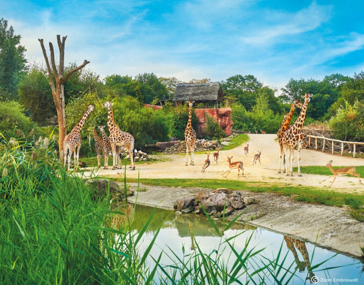 ZOOM Erlebniswelt