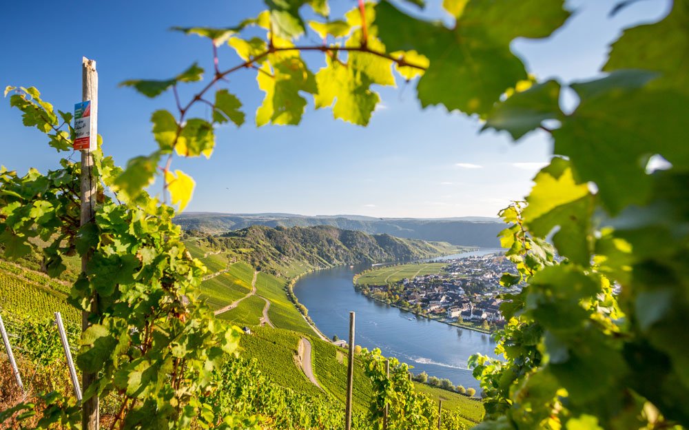VW-Mosel