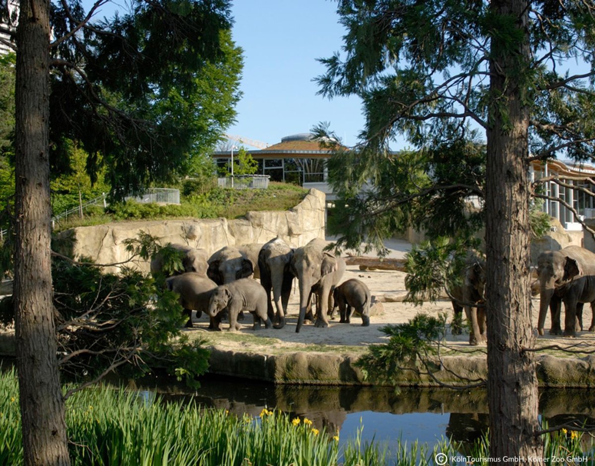 Kölner Zoo
