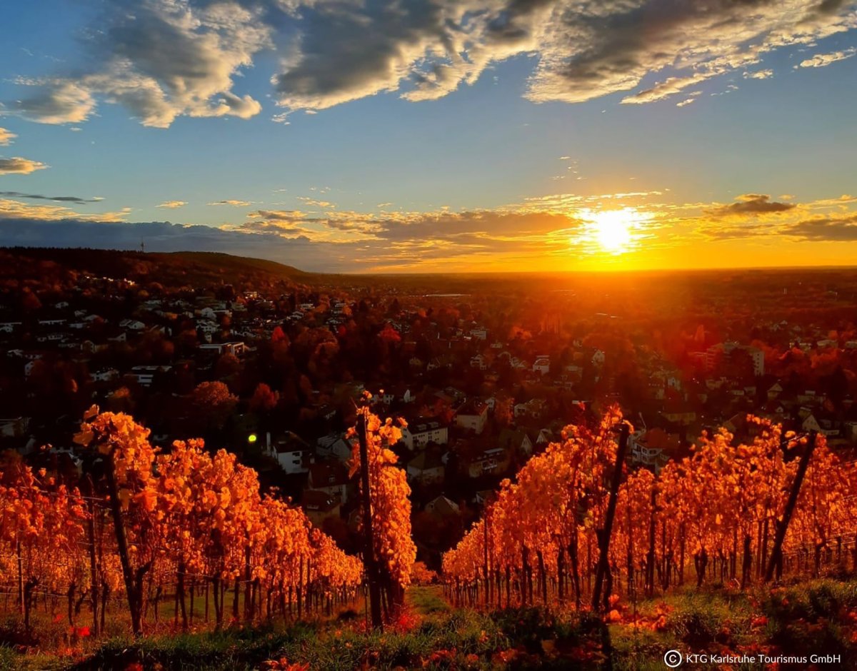 Turmberg
