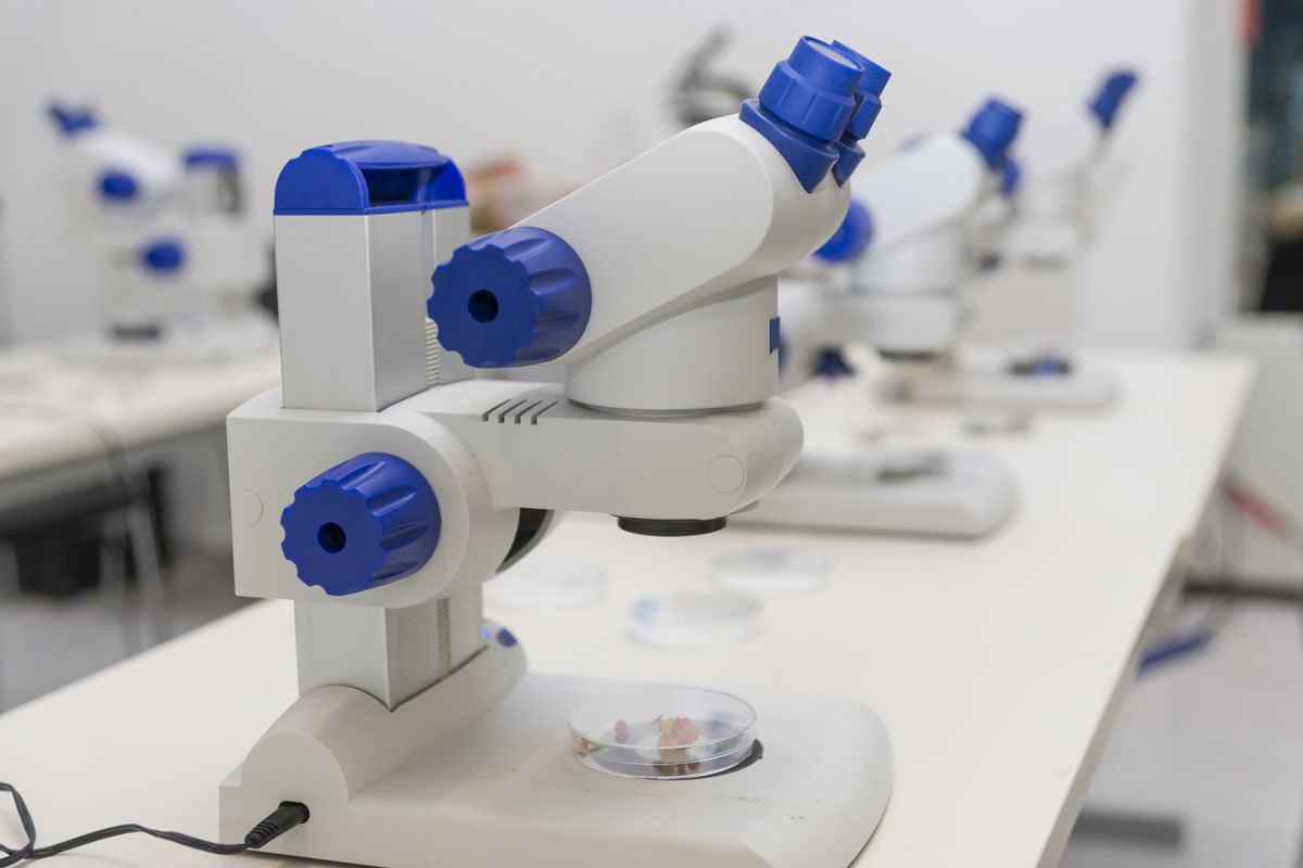 Sysmex Deutschland GmbH