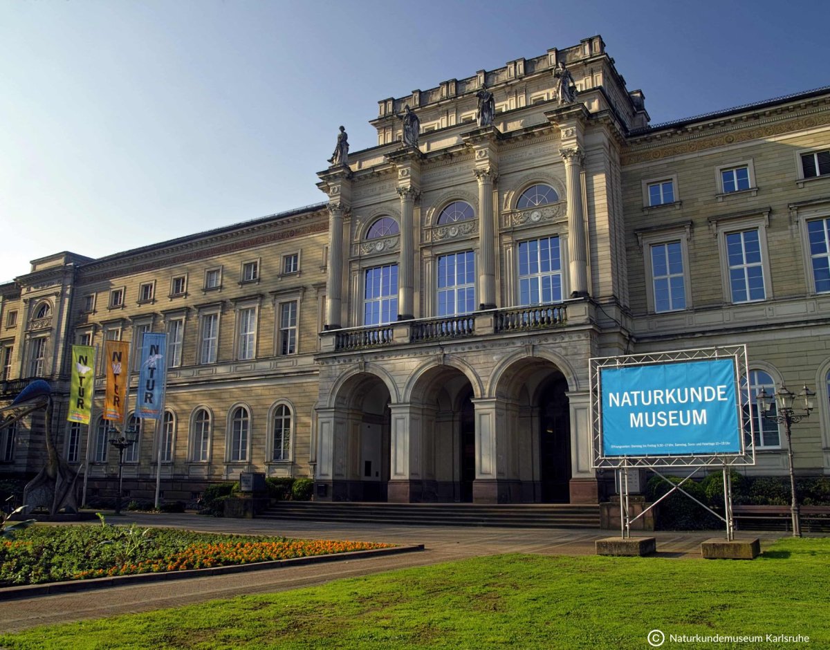 Naturkunde Museum Karlsruhe